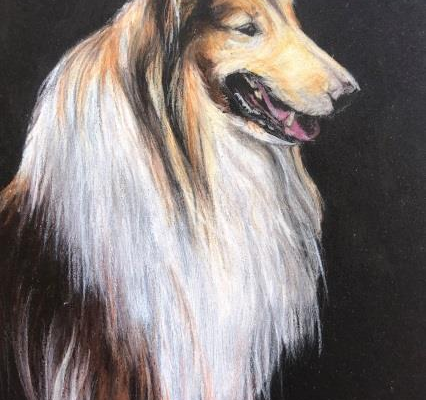 Colored Pencils 2022